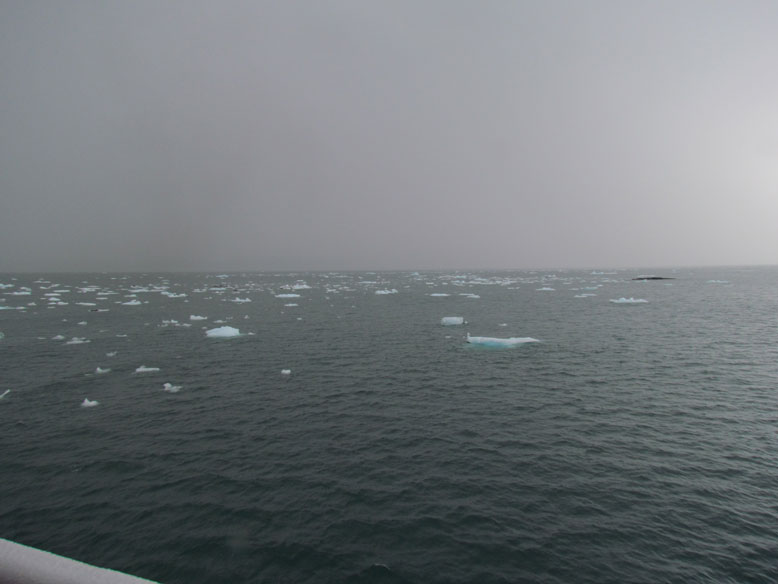 abordo del aurora